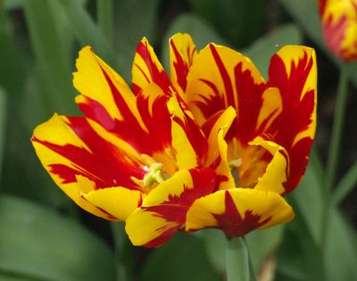 dscf4901.jpg