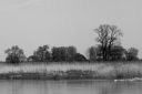 dscf4593.jpg
