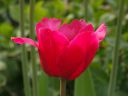 dscf4895.jpg